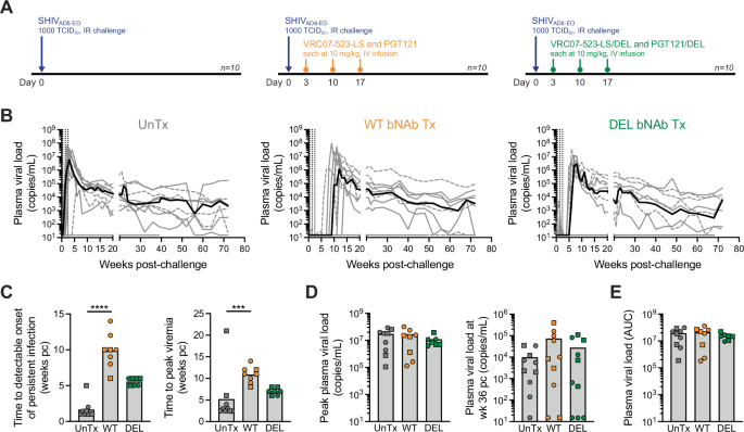 Administration of anti-HIV-1 broadly neutralizing monoclonal antibodies with increased affinity to Fcγ receptors during acute SHIVAD8-EO infection