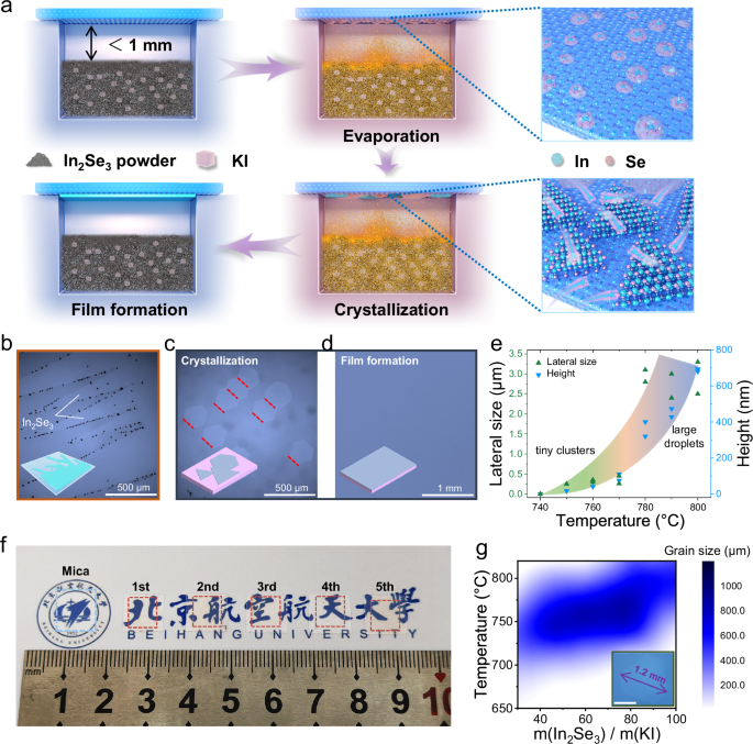 Quasi-equilibrium growth of inch-scale single-crystal monolayer α-In2Se3 on fluor-phlogopite