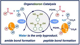 Organoboron catalysis for direct amide/peptide bond formation.