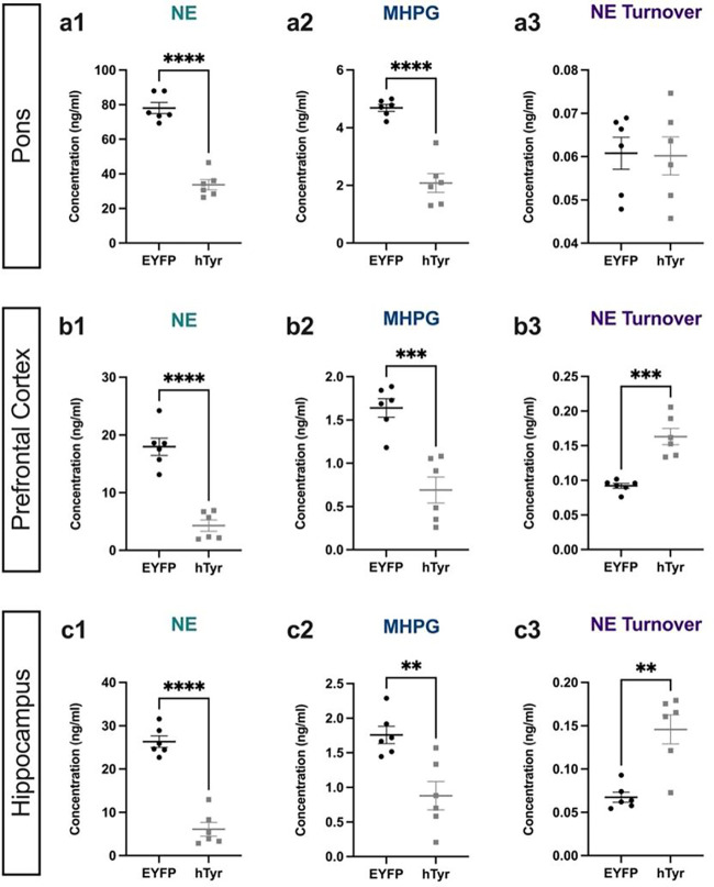 Tyrosinase-induced neuromelanin accumulation triggers rapid dysregulation and degeneration of the mouse locus coeruleus.