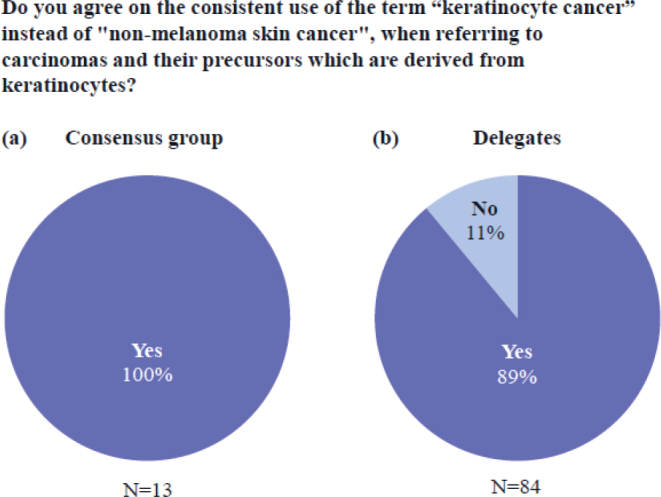 A European Consensus on the Consistent Use of the Term "Keratinocyte Cancer".