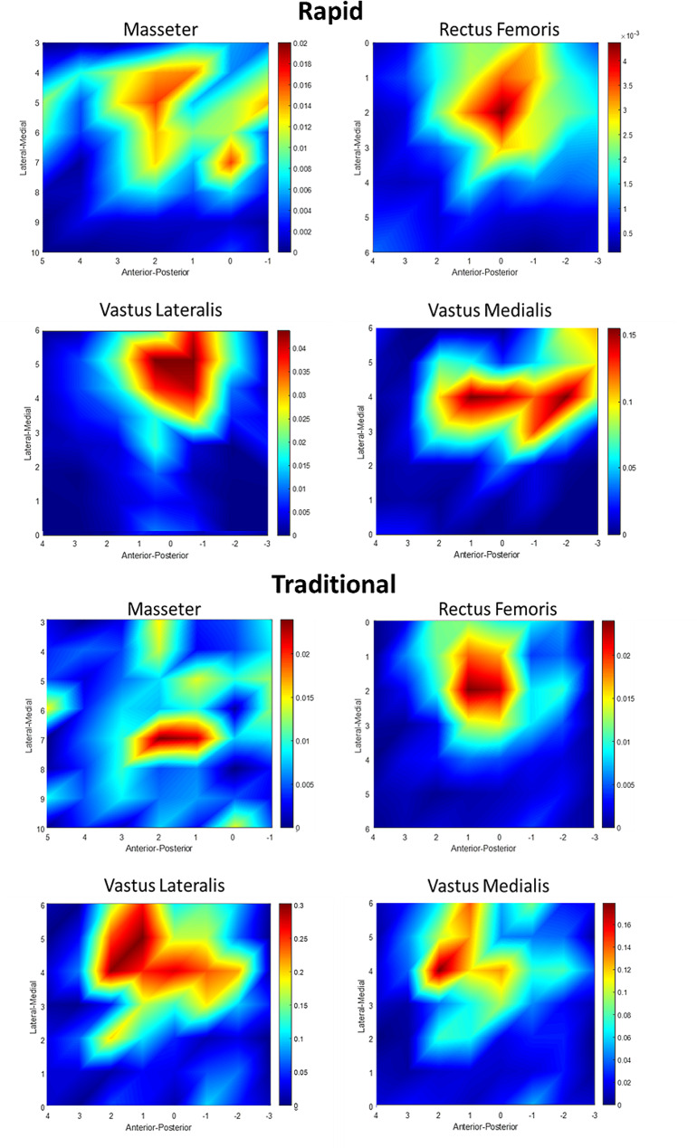 The reliability and validity of rapid transcranial magnetic stimulation mapping for muscles under active contraction.