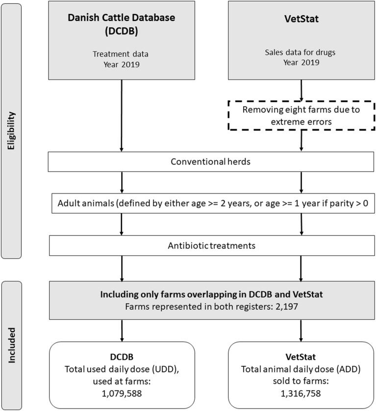 A registry-based comparative analysis of antibiotic usage reporting for adult cattle on Danish dairy farms.