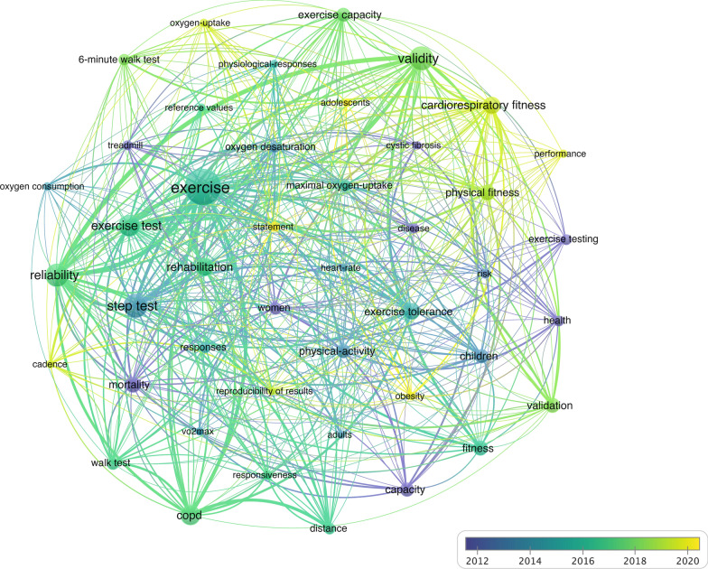 Bibliometric Review of the Step Test: A Comprehensive Analysis of Research Trends and Development.