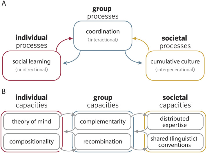 Group Coordination Catalyzes Individual and Cultural Intelligence.