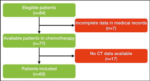 The additional benefit of computed tomography in cancer patients: impacts of sarcopenia and cachexia on quality of life during chemotherapy.
