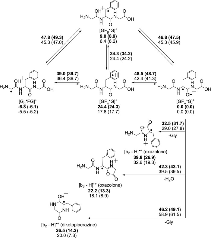Structure and fragmentation chemistry of the peptide radical cations of glycylphenylalanylglycine (GFG).