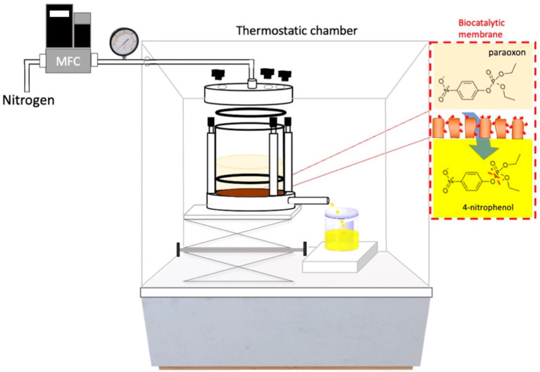 Tuning the Properties of Polyvinylidene Fluoride/Alkali Lignin Membranes to Develop a Biocatalytic Membrane Reactor for an Organophosphorus Pesticide Degradation.