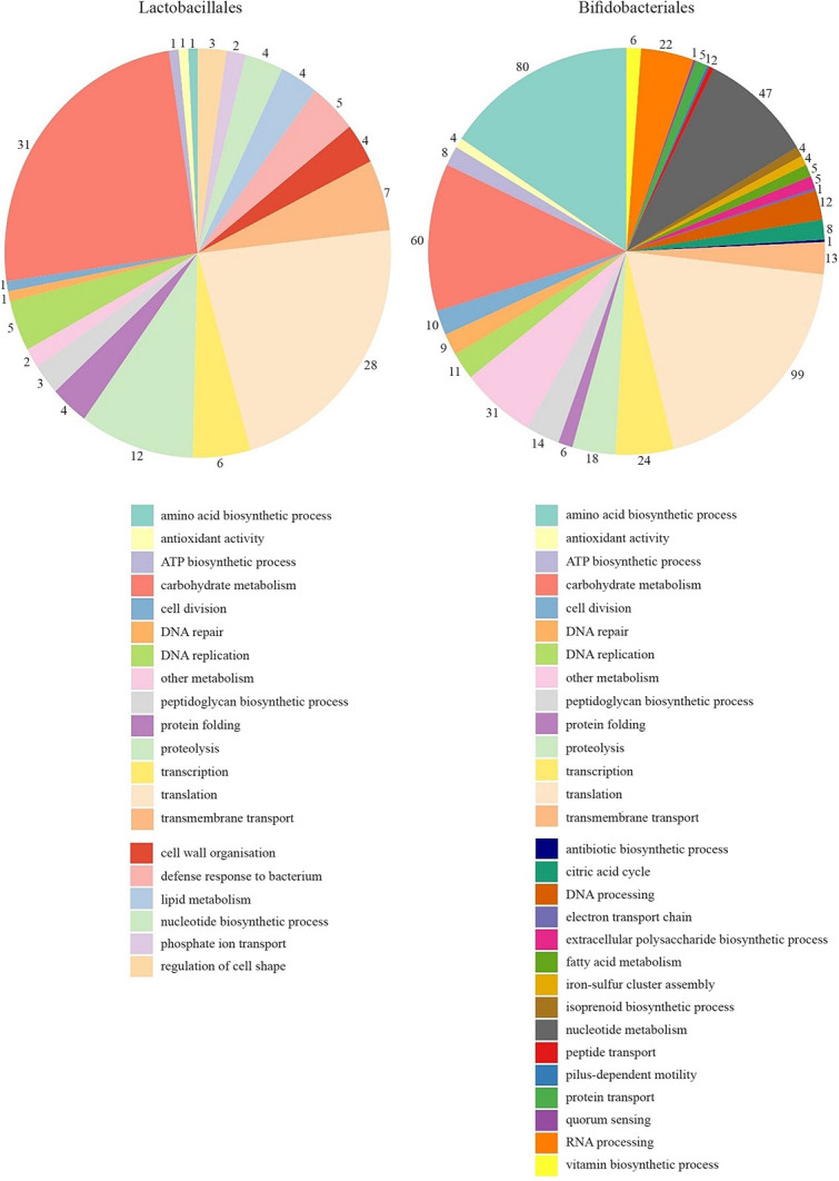Probiotic bacteria of wild boar origin intended for piglets - An <i>in vitro</i> study.