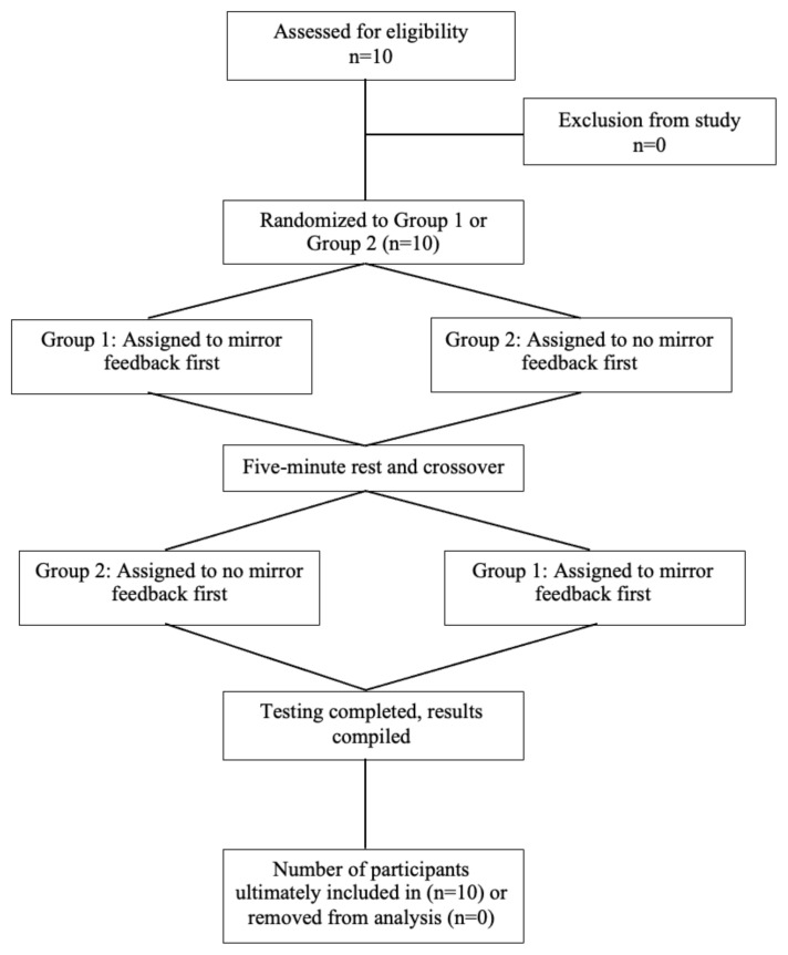 Investigating the Effects of Visual Feedback on Muscle Activity, Heart Rate, RPE, and Perceptions of Performance in Ballet Dancers.