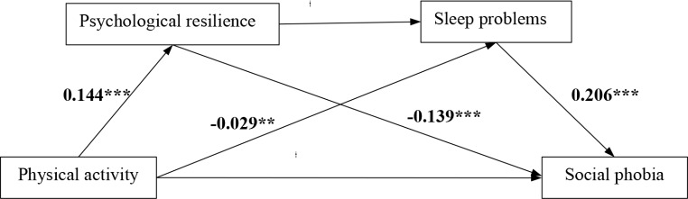 Physical activity and social anxiety symptoms among Chinese college students: a serial mediation model of psychological resilience and sleep problems.