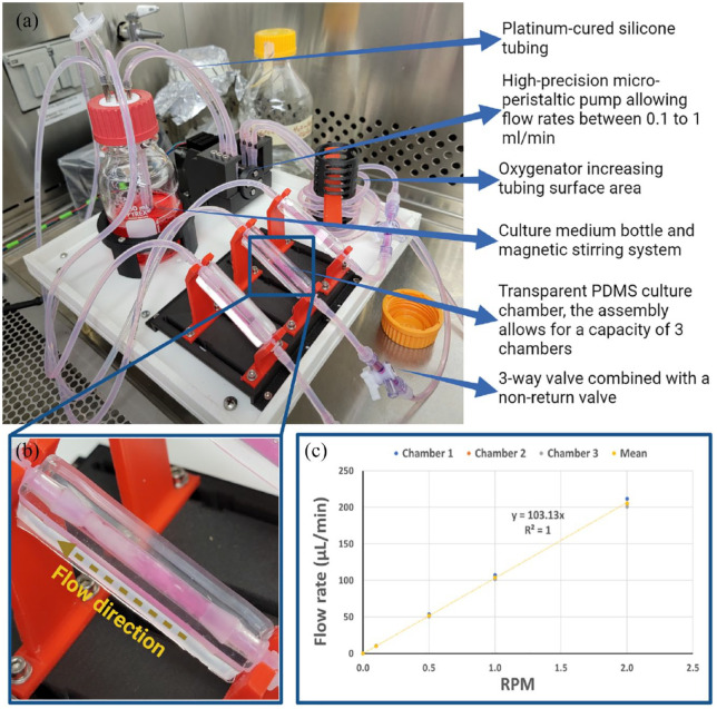 Dynamic three-dimensional coculture model: The future of tissue engineering applied to the peripheral nervous system.