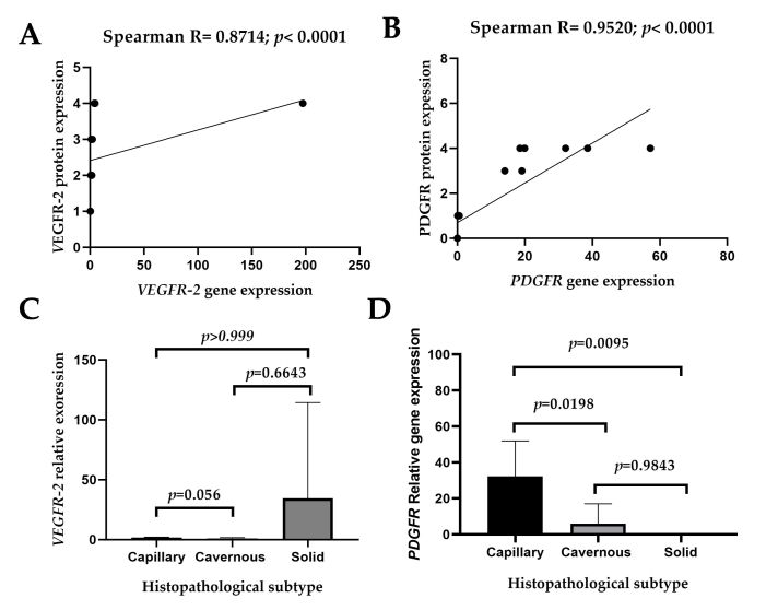 Analysis of VEGFR-2 and PDGFR-β expression in canine splenic hemangiosarcoma to identify drug repositioning candidates.