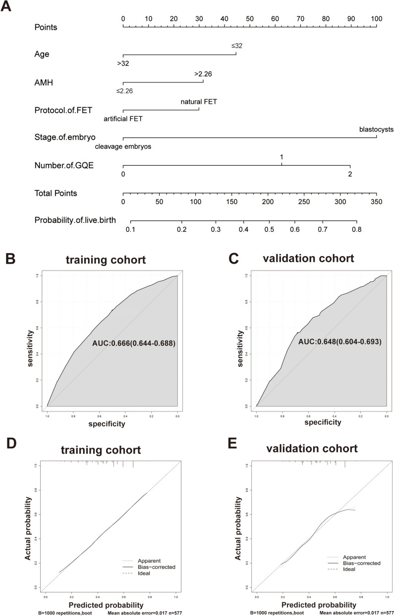 Nomogram for predicting live birth in ovulatory women undergoing frozen-thawed embryo transfer.