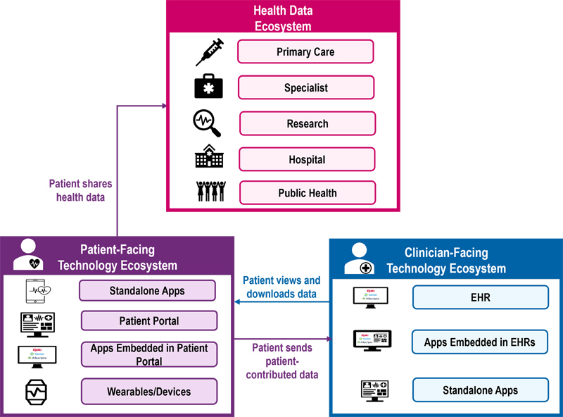 New Horizons for Consumer-Mediated Health Information Exchange.