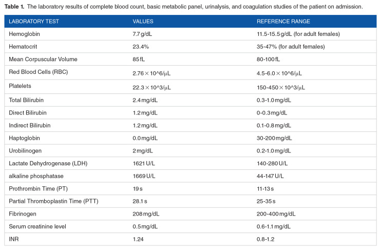 Microangiopathic Hemolytic Anemia as a Paraneoplastic Syndrome in a Patient with Metastatic Gastric Cancer.