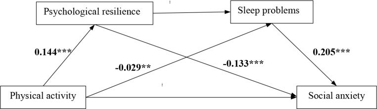 Physical activity and social anxiety symptoms among Chinese college students: a serial mediation model of psychological resilience and sleep problems.