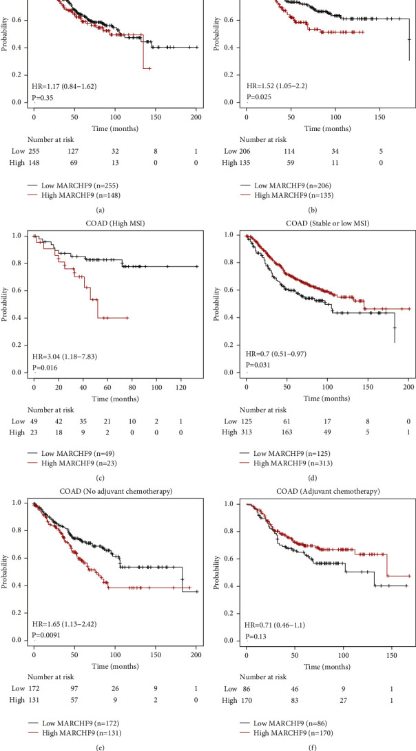 Investigating the Prognostic and Oncogenic Roles of Membrane-Associated Ring-CH-Type Finger 9 in Colorectal Cancer.