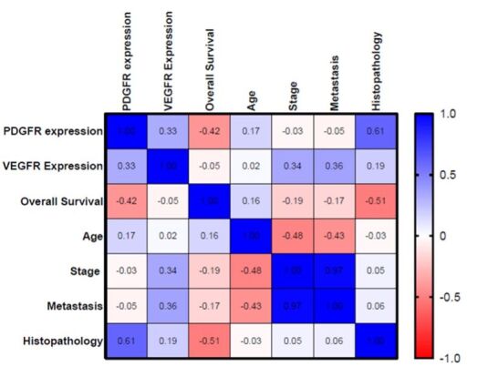 Analysis of VEGFR-2 and PDGFR-β expression in canine splenic hemangiosarcoma to identify drug repositioning candidates.