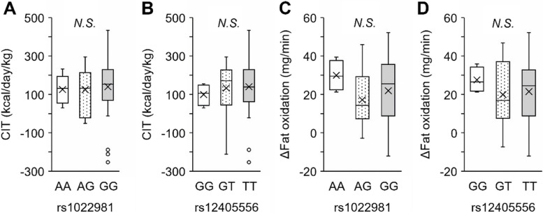 Association between thermogenic brown fat and genes under positive natural selection in circumpolar populations.