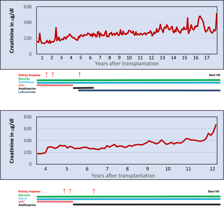 JC Polyomavirus Nephropathy: A Rare Complication Late after Kidney Transplantation.