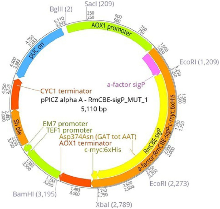 Cloning, recombinant expression, and characterization of a <i>Rhipicephalus microplus</i> carboxylesterase.