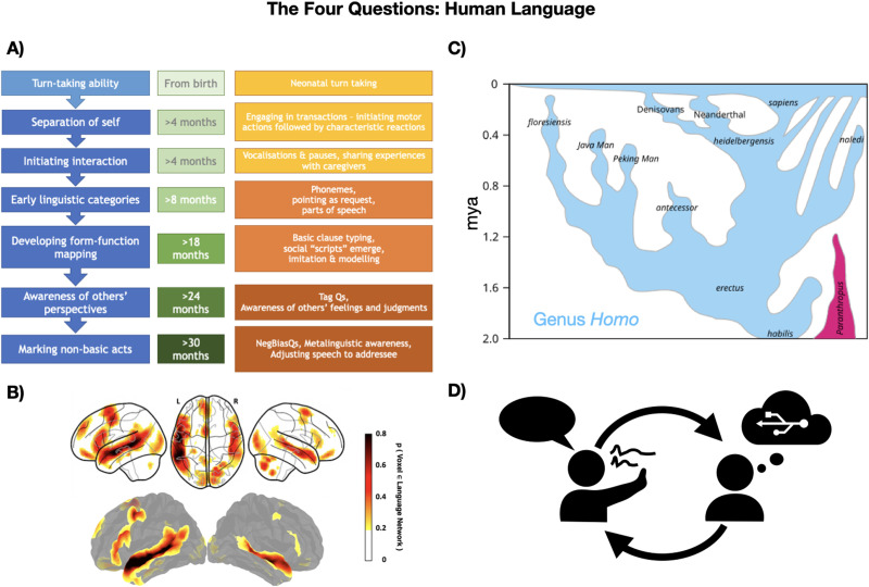 The Limitations of Large Language Models for Understanding Human Language and Cognition.