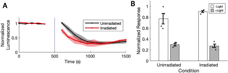 Ectopically expressed rhodopsin is not sensitive to X-rays.