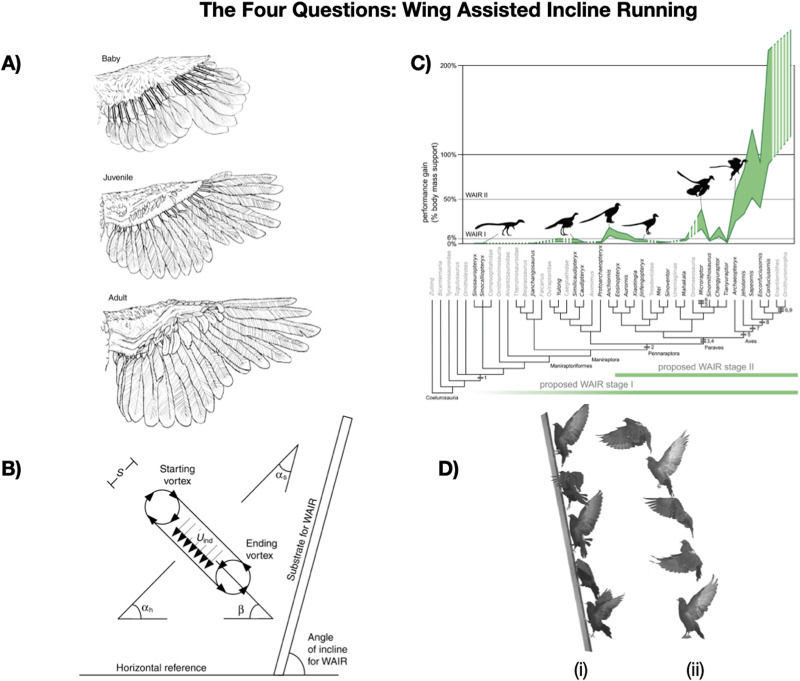 The Limitations of Large Language Models for Understanding Human Language and Cognition.