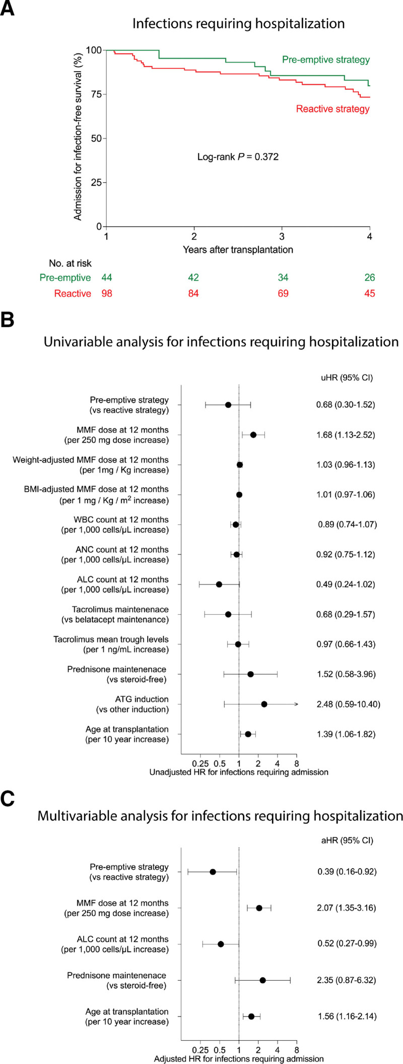 Safety and Efficacy of a Preemptive Mycophenolate Mofetil Dose Reduction Strategy in Kidney Transplant Recipients.