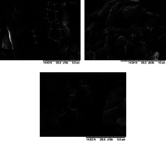 Comparative Analysis of Different Natural Polymers as Coating Agents for Freeze-Dried Microencapsulation of <i>Cosmos caudatus</i> Kunth Compounds.