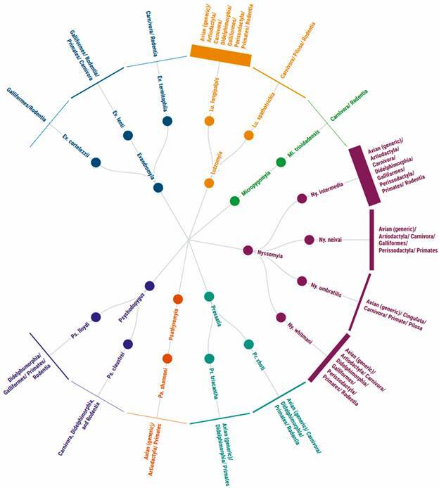 You are what you eat: a systematic review exploring the interaction between Brazilian sand flies and their vertebrate food sources.