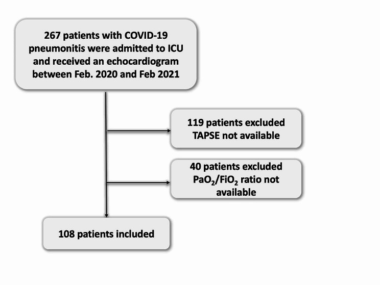 Correlation between worsening pneumonitis and right ventricular systolic function in critically ill patients with COVID-19.