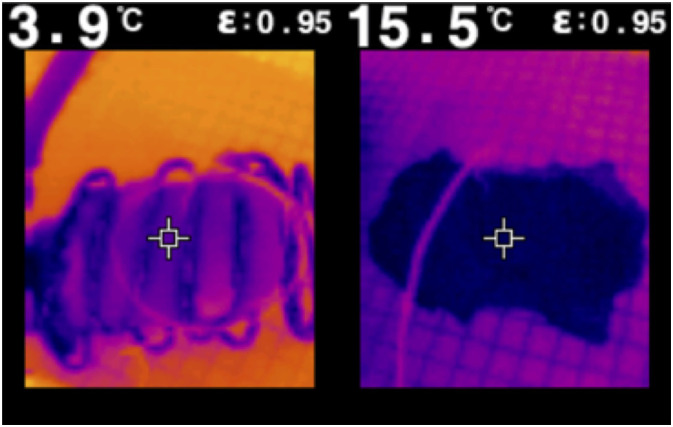 A Novel Cooling Device for Kidney Transplant Surgery.