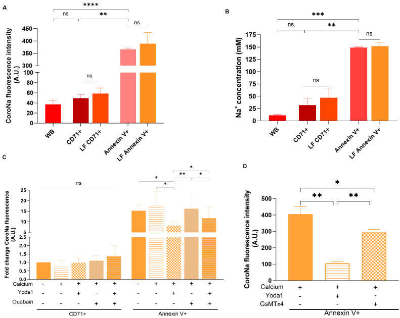 Role of Piezo1 in Terminal Density Reversal of Red Blood Cells.