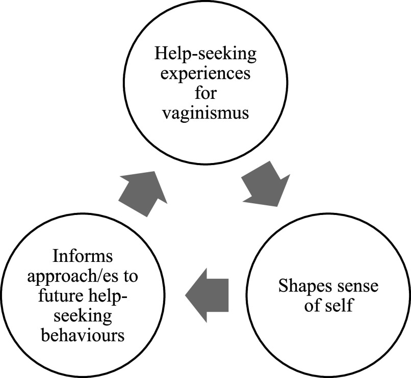 The interrelationship between women's help-seeking experiences for vaginismus and their sense of self: a qualitative study and abductive analysis.