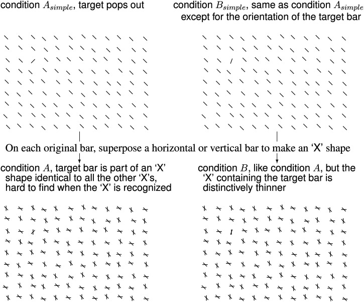 Looking with or without seeing in an individual with age-related macular degeneration impairing central vision.