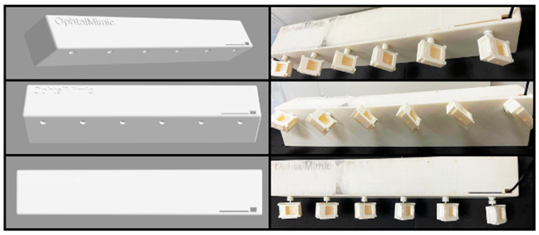 Applying Different Conditions in the OphthalMimic Device Using Polymeric and Hydrogel-Based Hybrid Membranes to Evaluate Gels and Nanostructured Ophthalmic Formulations.
