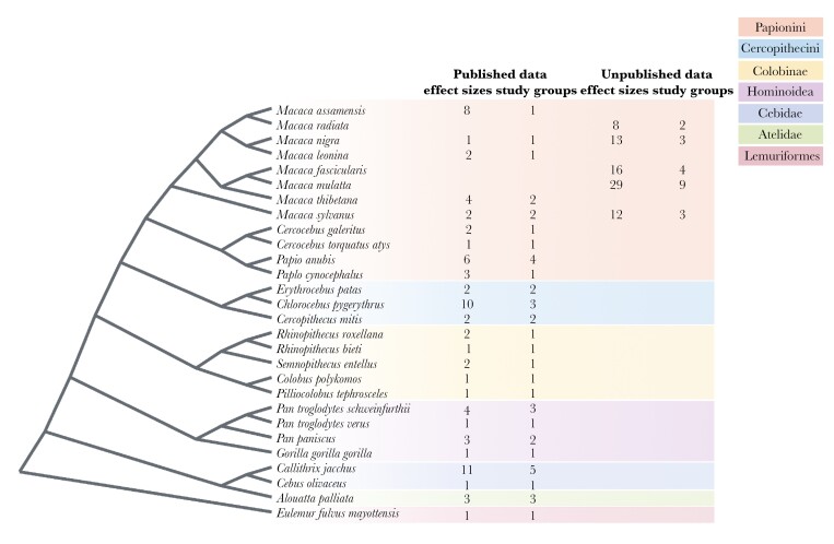 Relationship between dominance hierarchy steepness and rank-relatedness of benefits in primates.
