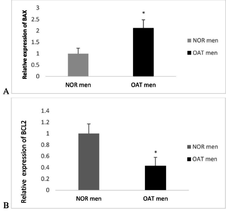 The association of sperm <i>BAX</i> and <i>BCL-2</i> gene expression with reproductive outcome in Oligoasthenoteratozoospermia cases undergoing intracytoplasmic sperm injection: A case-control study.