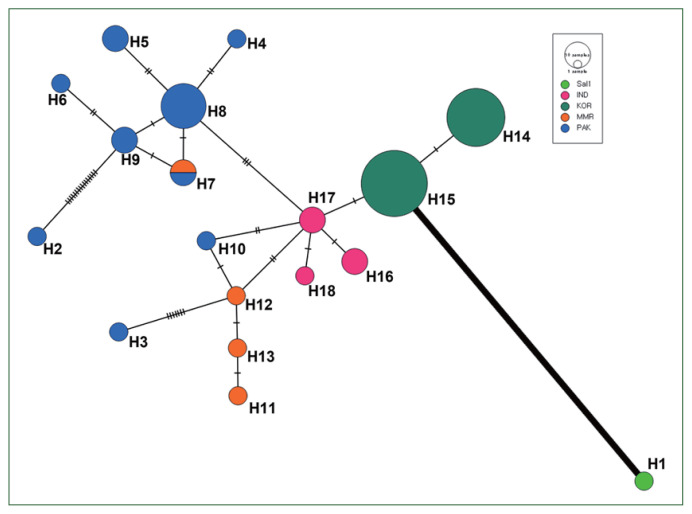 Population genetic analysis of Plasmodium vivax vir genes in Pakistan.