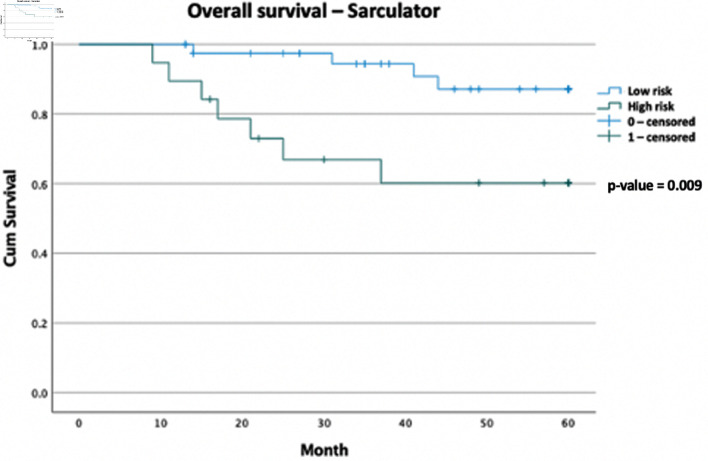 Risk Stratification Tools to Aid Decisions on Adjuvant Chemotherapy Usage in Resected Soft Tissue Sarcomas: A Ten-Year Review of an Irish Sarcoma Center Experience.