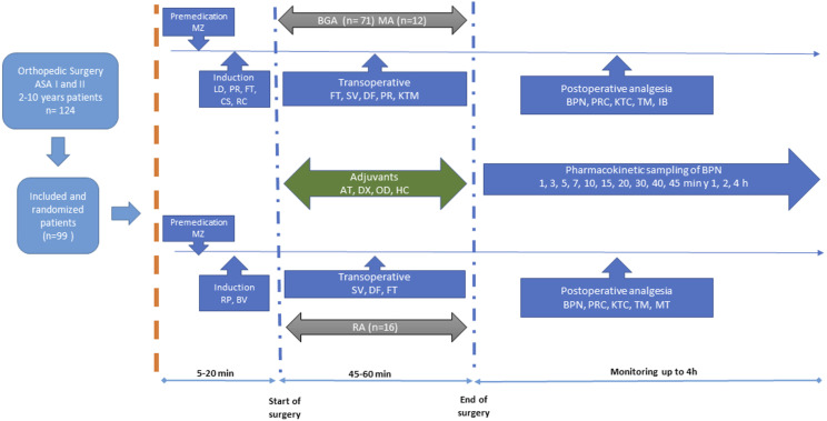 Influence of Age, Gender and Body Mass Index on Intravenous Pharmacokinetics of Buprenorphine in Children Undergoing Orthopedic Surgery.