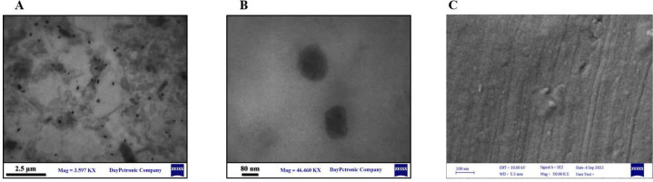 Oral administration of crocin-loaded solid lipid nanoparticles inhibits neuroinflammation in a rat model of epileptic seizures by activating SIRT1 expression.