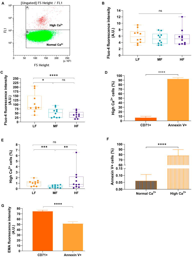 Role of Piezo1 in Terminal Density Reversal of Red Blood Cells.