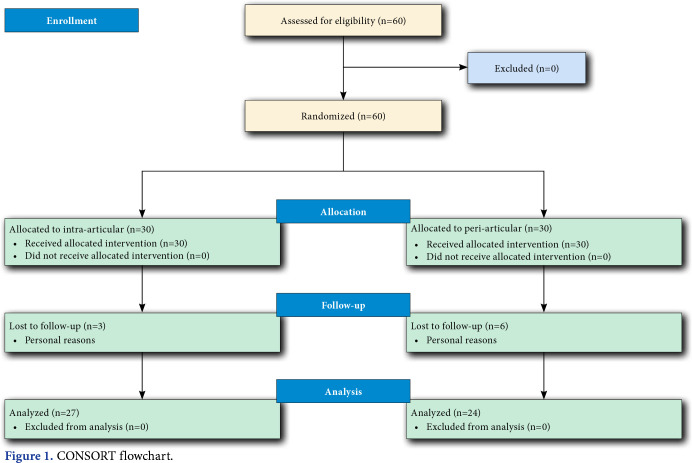 Effects of intra-articular versus peri-articular dextrose prolotherapy in knee osteoarthritis: A clinical trial study.