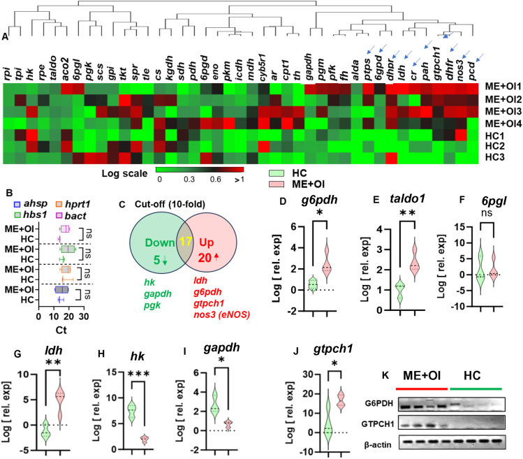 Dysregulation of tetrahydrobiopterin metabolism in myalgic encephalomyelitis/chronic fatigue syndrome by pentose phosphate pathway.
