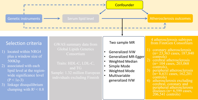The Causal Effect of Serum Lipid Levels Mediated by Neuregulin 4 on the Risk of Four Atherosclerosis Subtypes: Evidence from Mendelian Randomization Analysis.