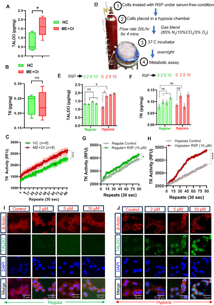 Dysregulation of tetrahydrobiopterin metabolism in myalgic encephalomyelitis/chronic fatigue syndrome by pentose phosphate pathway.
