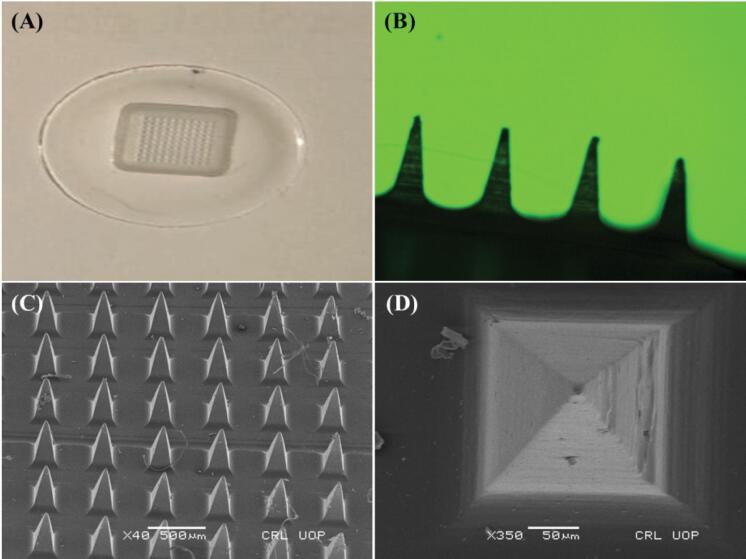Sustained release microneedle patch for pronounced systemic delivery of doxazosin mesylate.